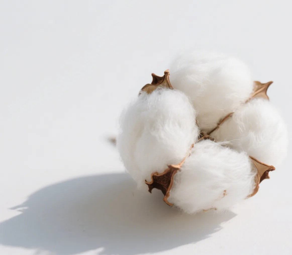 Cotton